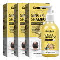 Ginger Hair Shampoo